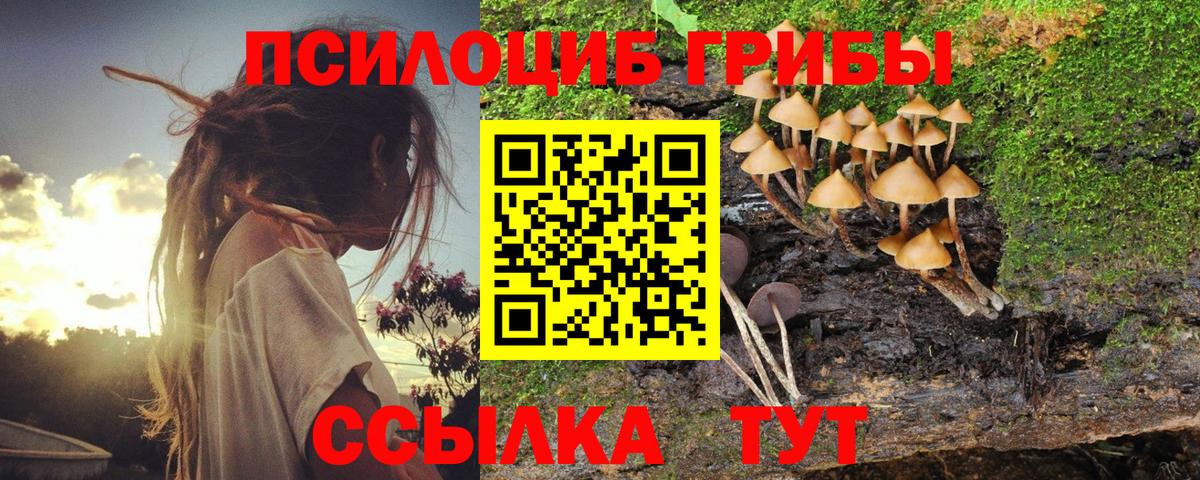 Галлюциногенные грибы ЛСД  Вход с VPN  Псилоцибиновые грибы MAGIC MUSHROOMS  Лабинск 